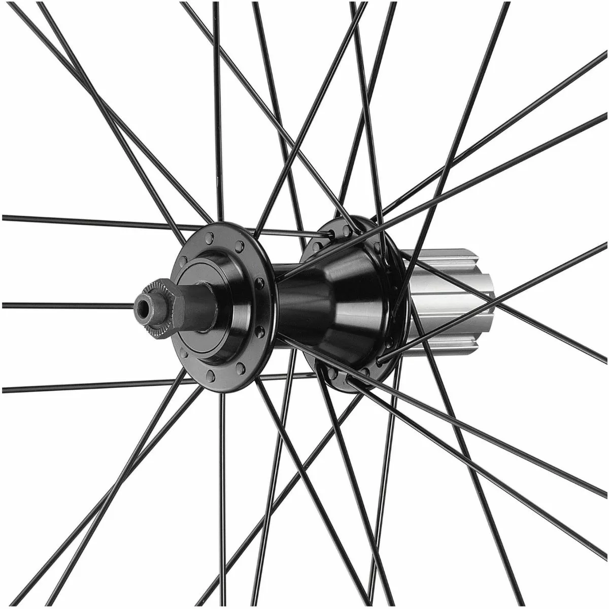 Campagnolo® Campagnolo Calima C17 Rear Wheel - Image 4