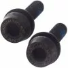 Campagnolo® Campagnolo Rear Flat Mount Bolts X2