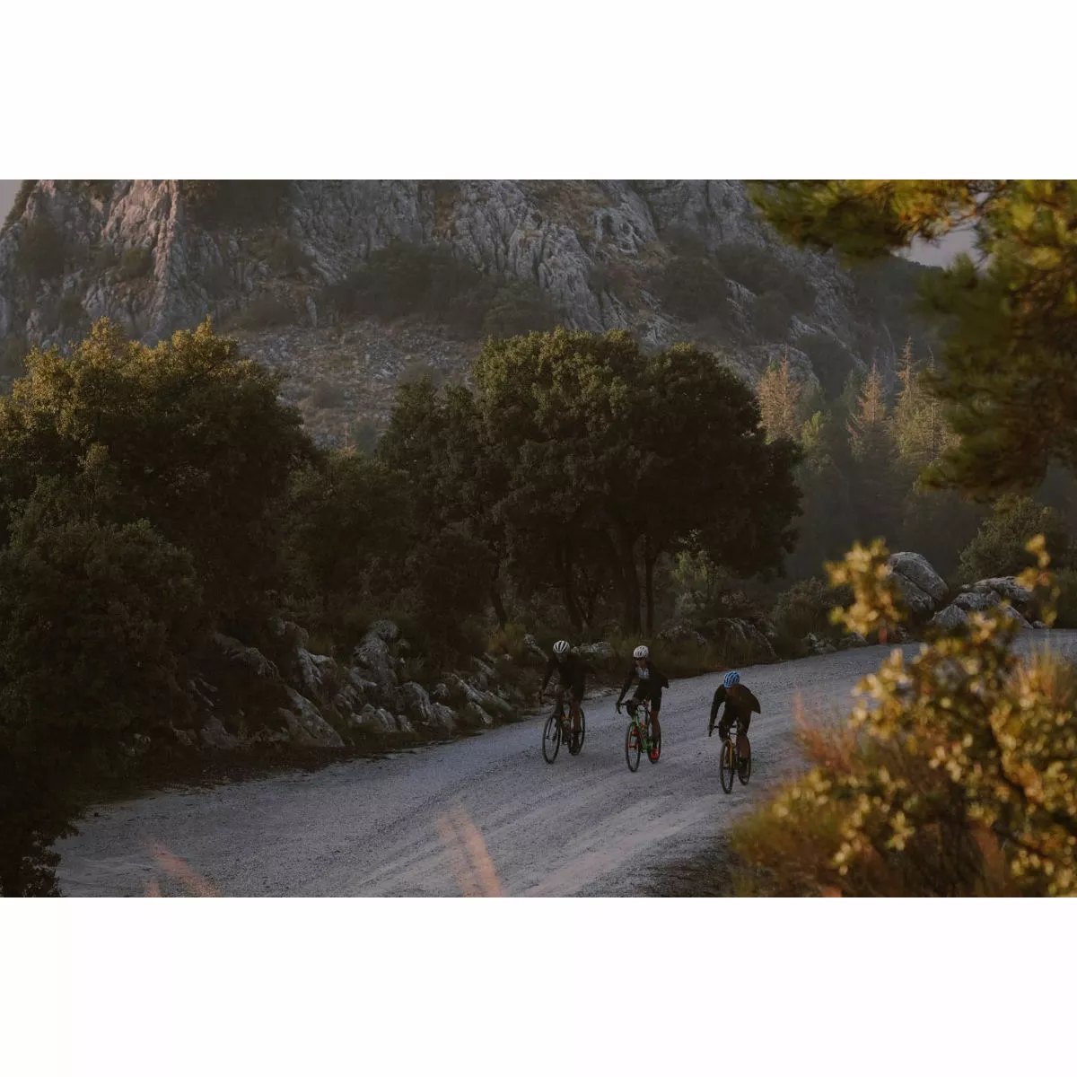 Continental Terra Hardpack Shieldwall Foldable Tyre - Image 3