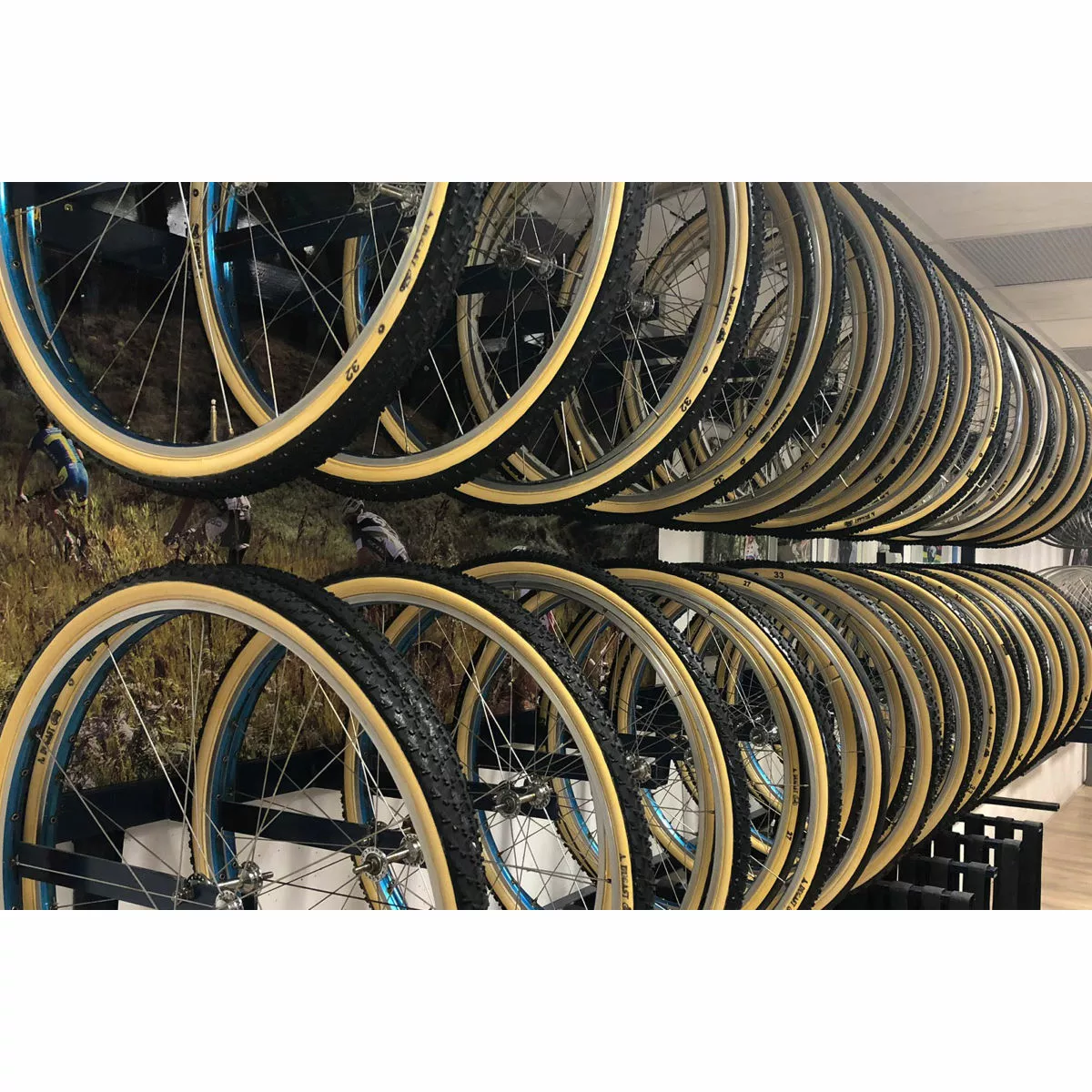 Dugast Pipistrello Cyclocross Tyre - Image 7