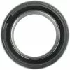 Enduro Bearings ABEC5 61803 SRS Bearing