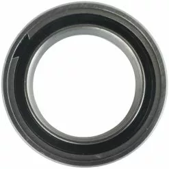 Enduro Bearings ABEC5 61803 SRS Bearing