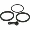 Hope Caliper Seal Kit