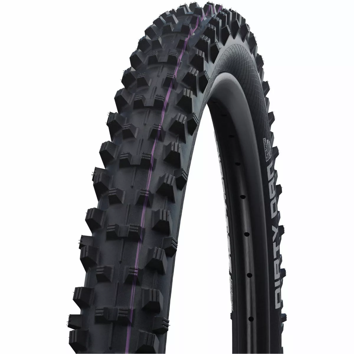Schwalbe Dirty Dan Evo Super Gravity MTB Tyre