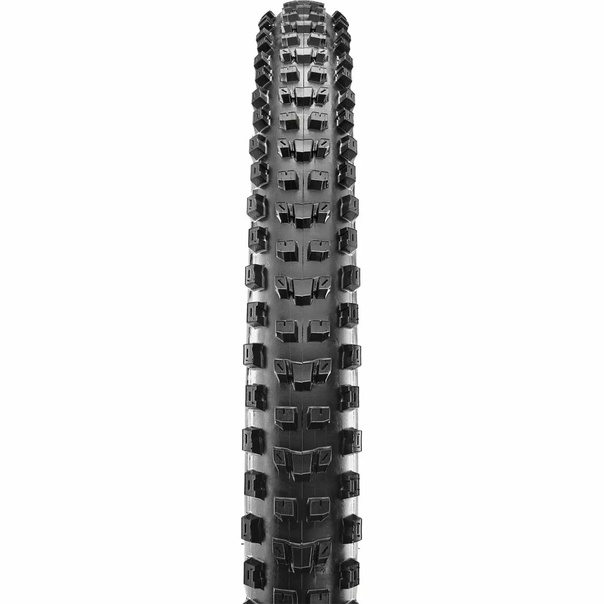 Maxxis Dissector EXO Tyre (3CT - TR - WT) - Image 2