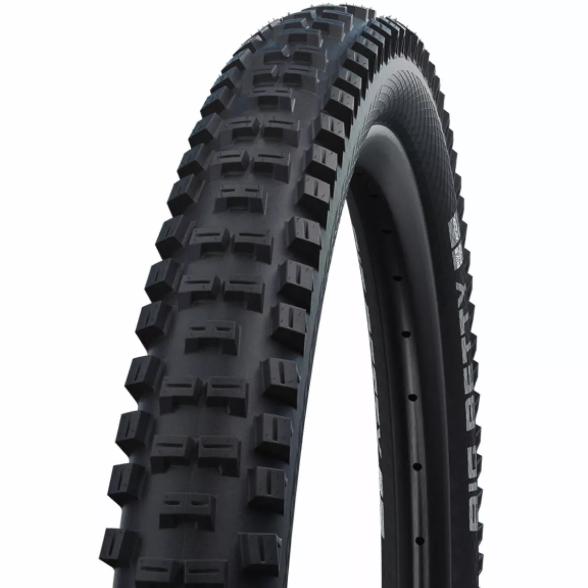 Schwalbe Big Betty Performance MTB Tyre